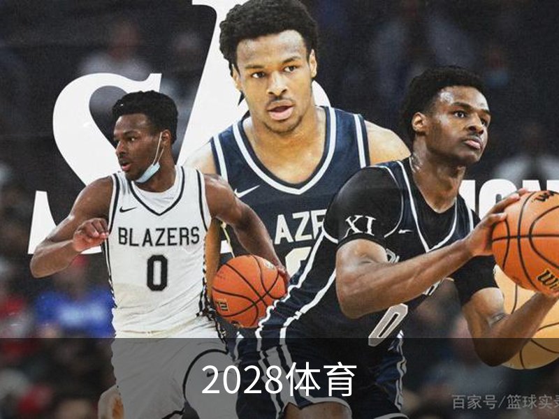 2028体育简介